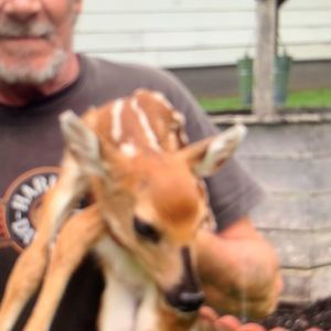 Meet your Posher, Danny